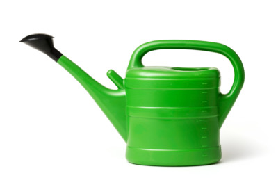 Green plastic watering can with a black removable shower head